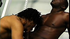 Hung as fuck black men have a session of pure raw sex at the gym